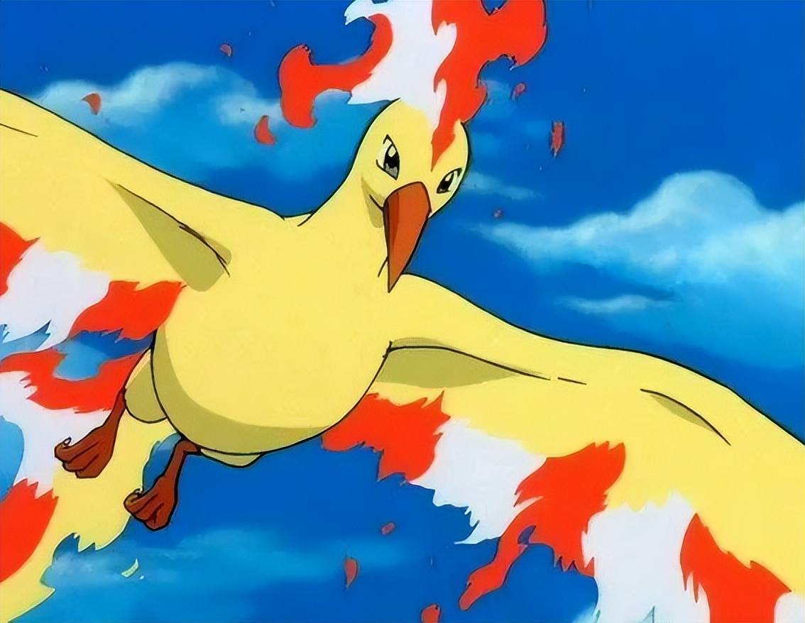 《宝可梦》火焰鸟被玩家调侃为瞪眼鸟,起源于怎样的黑历史?