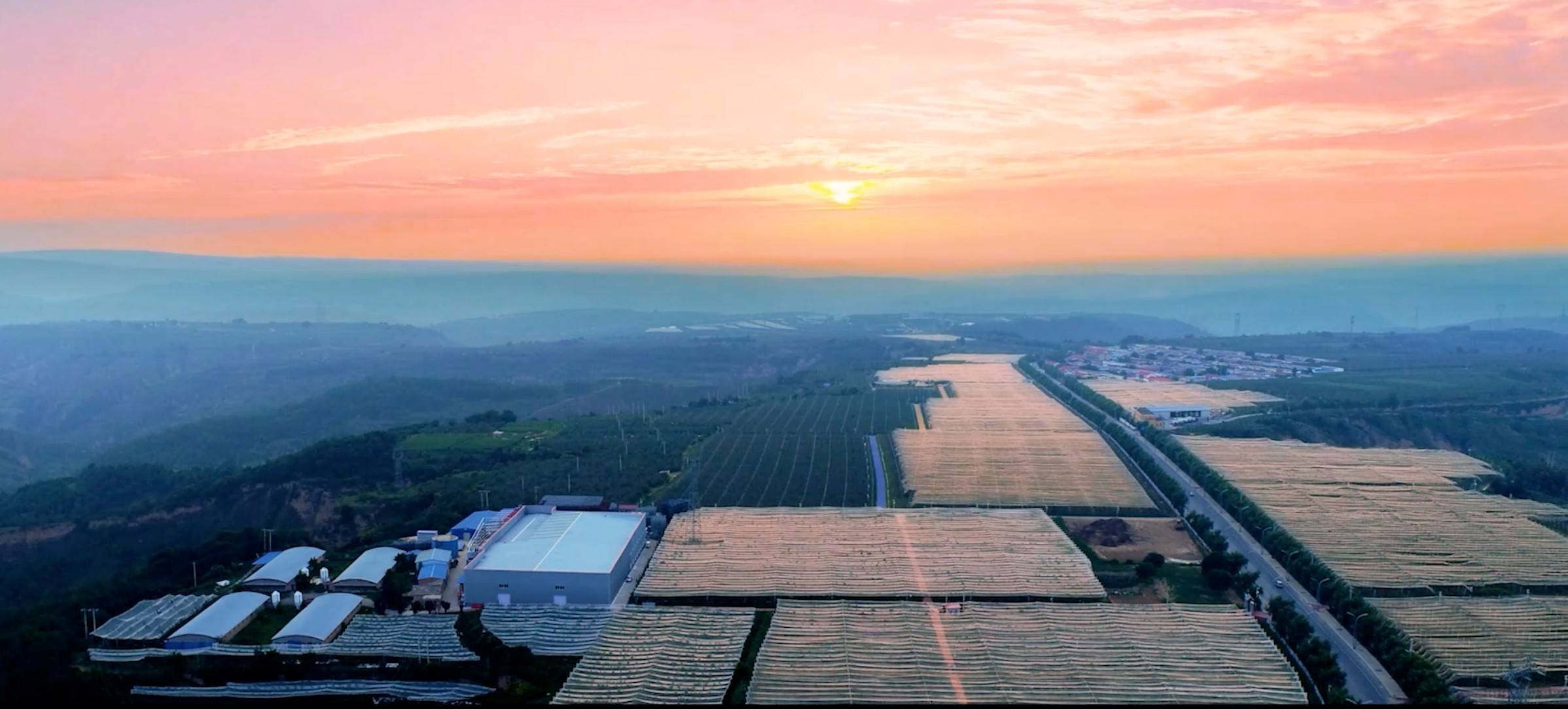 陕西省延安市洛川县苹果批发基地
