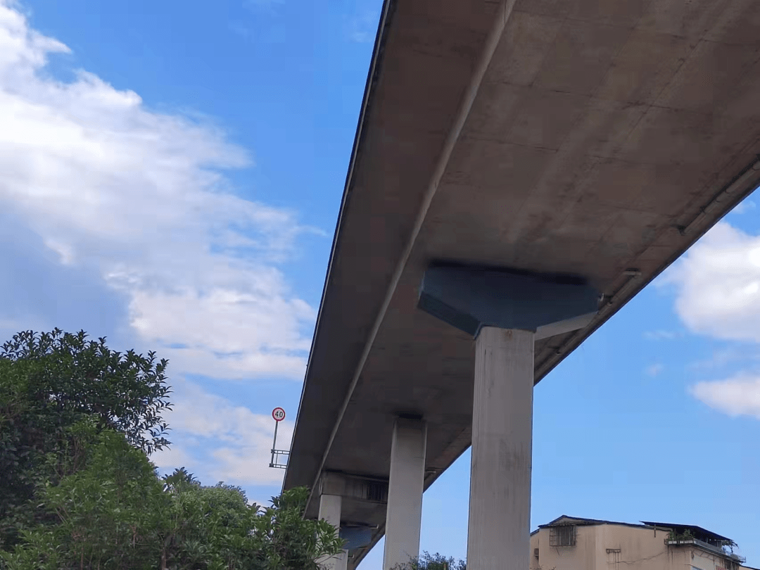 对受托管理路段所有独柱墩桥梁进行全面安全评估,克服工期紧,任务重