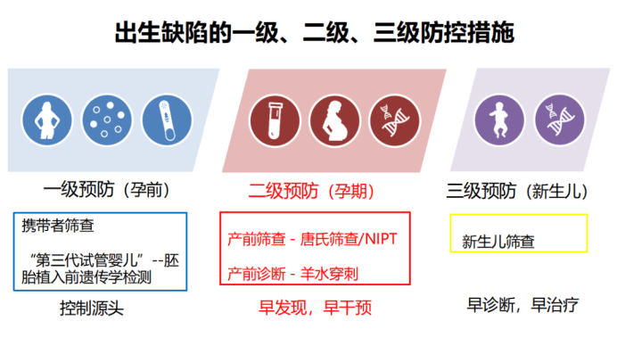 什么是无创DNA检测？它到底检查什么？