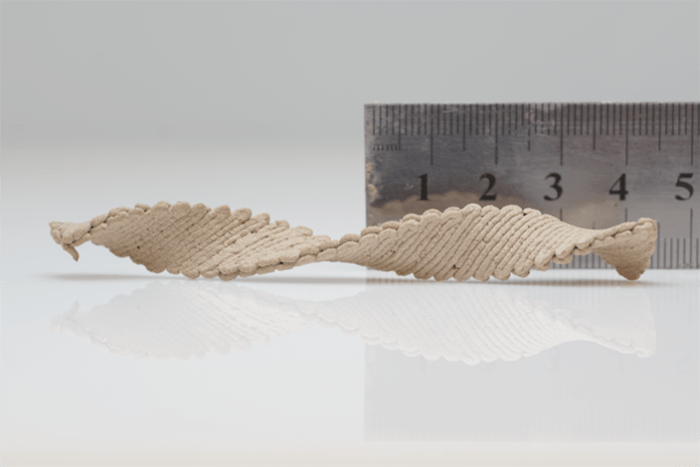 科学家开发出一种3D打印木质结构的新技术，可以让木头变得足够结实
