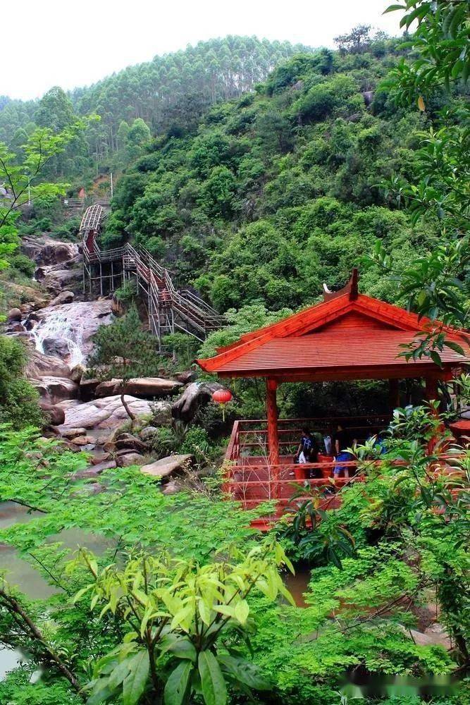 特价99元【9月12日发团】潮州紫莲生态旅游景区,动物园,泰佛殿,古城