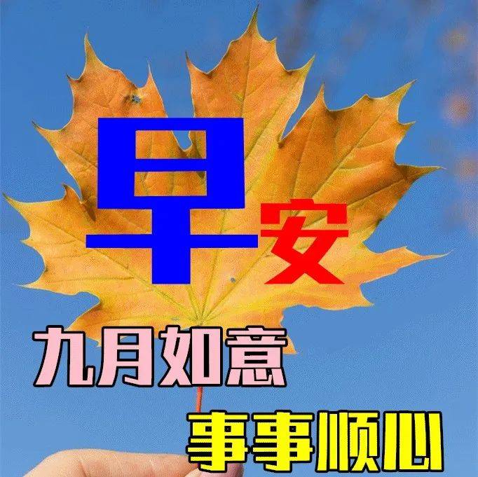 9月6日秋天早上好动态表情图片大全，早晨好动图美图大全 生活 祝福 问候