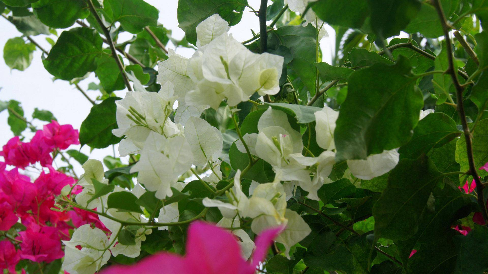 9月6日 12日爱情运势 缘分逆袭 收获幸福的四大星座 伴侣 单身 对方