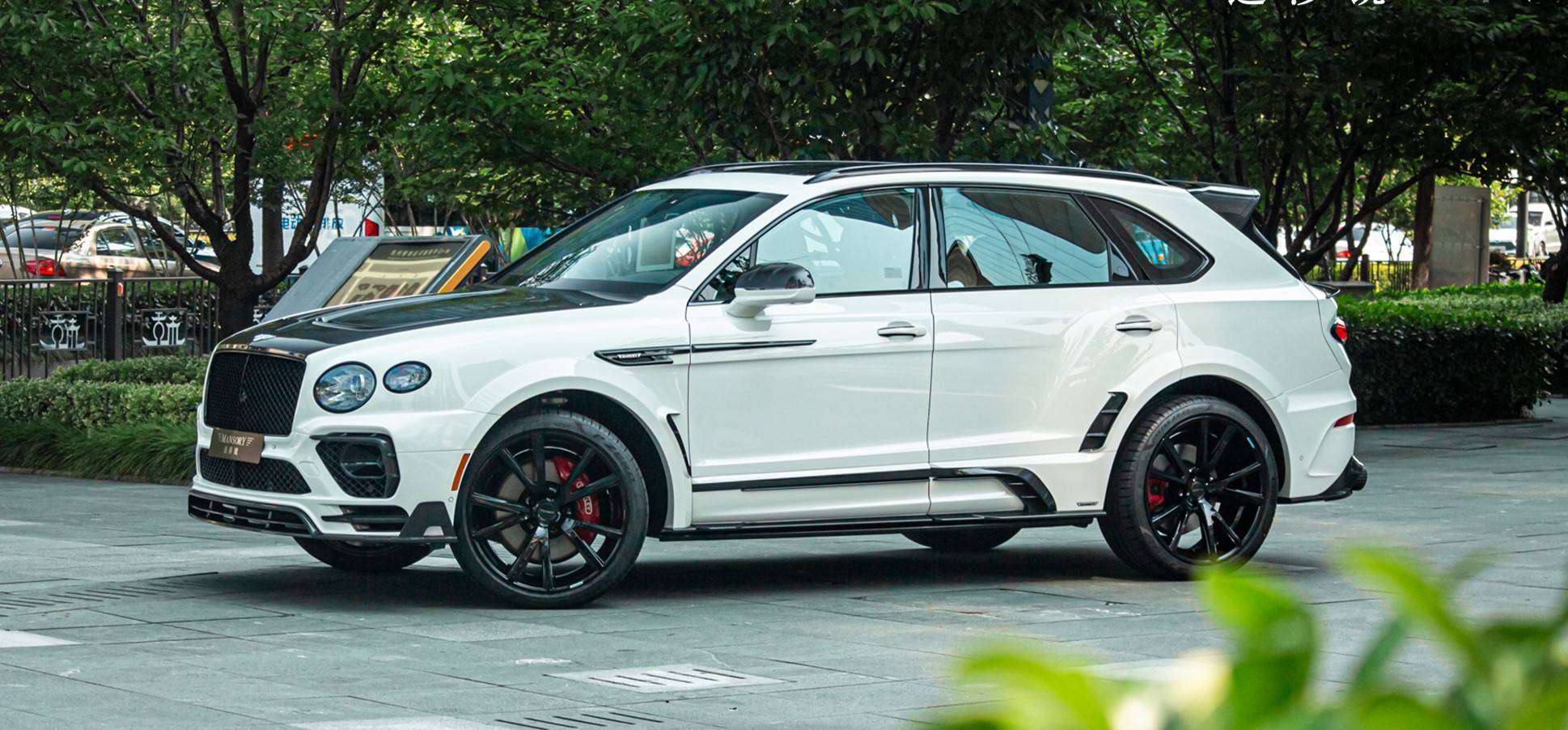 迈莎锐添越中国首发,熊猫配色搭配超跑套件_mansory_材料_台添