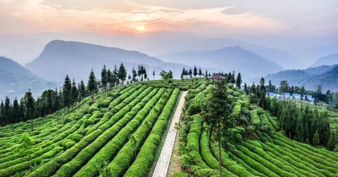 犍为县芭沟镇芭蕉沟社区