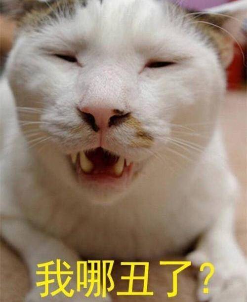 一只猫，究竟可以“丑”到什么程度？网友：真的打破了认知_猫咪_眼睛_白猫