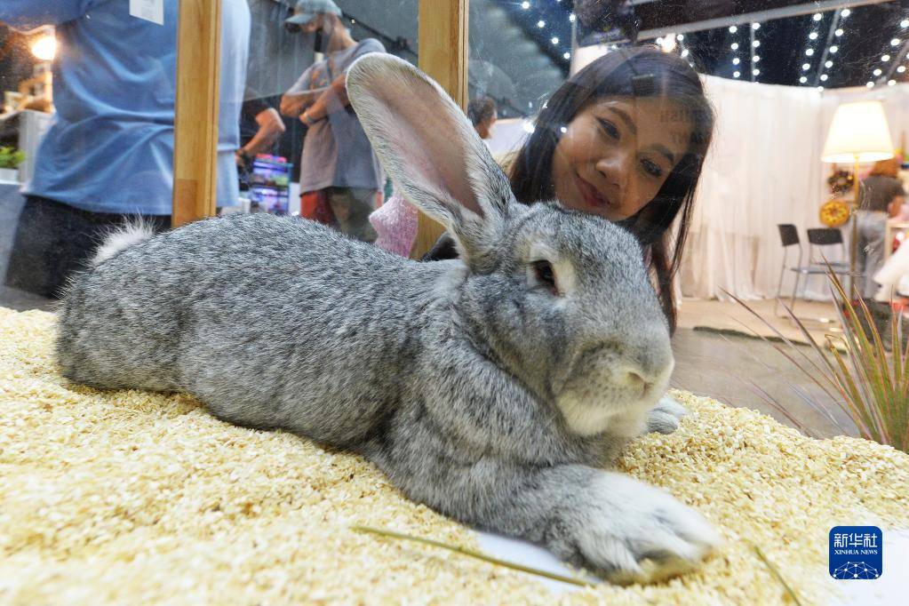 泰国曼谷国际宠物用品及服务展览会