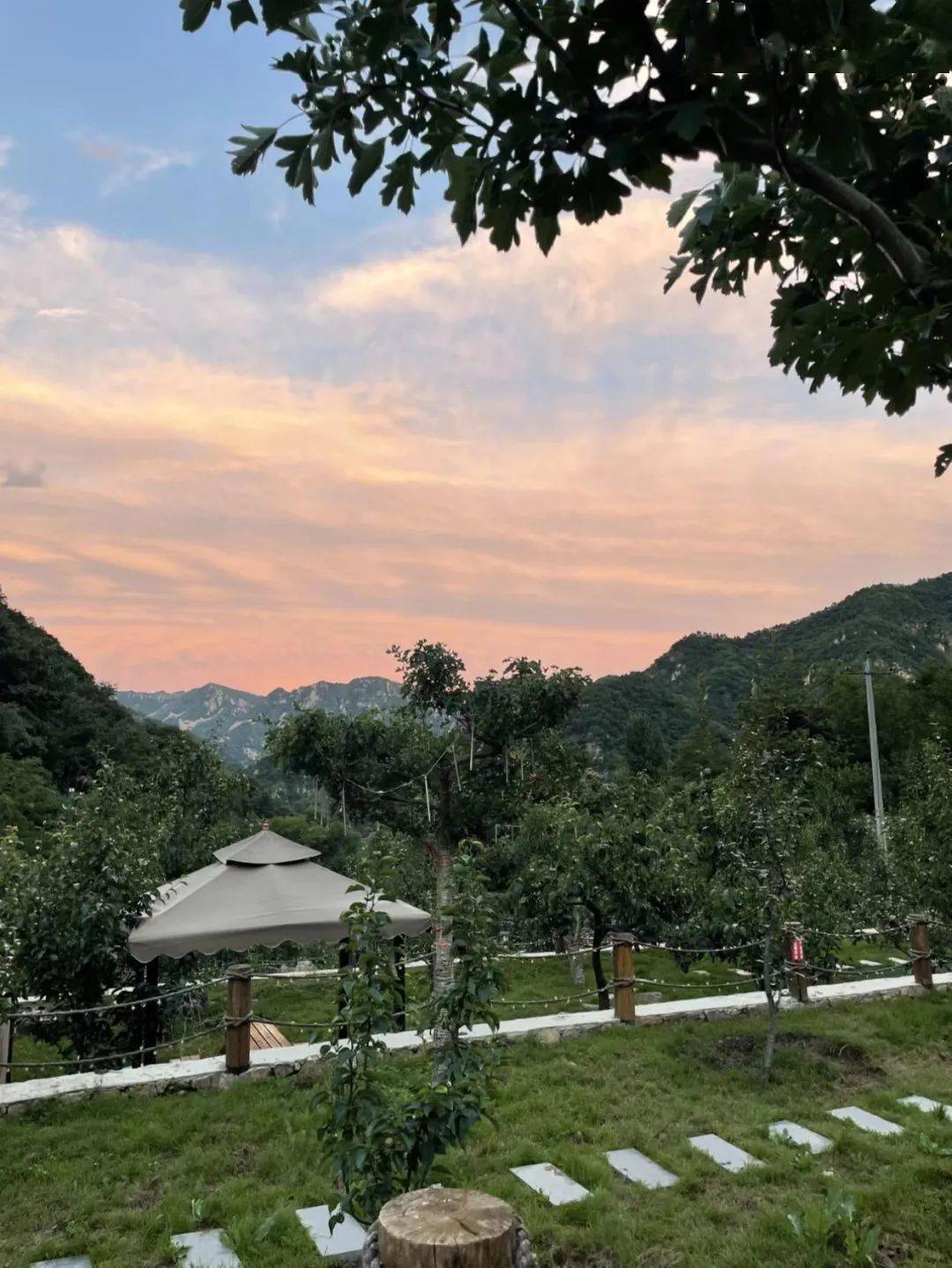 梨树沟景区:中秋小长假,水舞盛世,花好月圆_梯田_水秀_时间