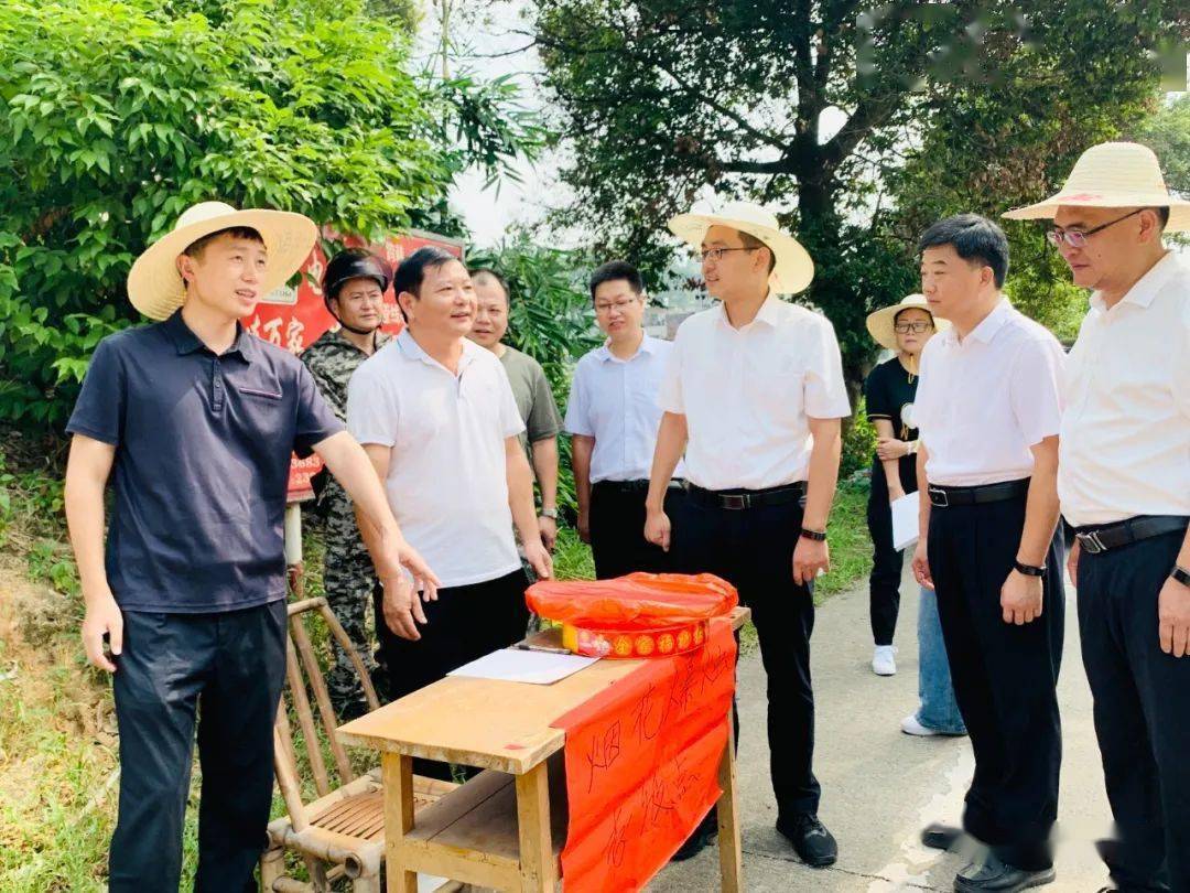 永定区领导督导检查安全生产和森林防灭火工作_李宏泰_疫情_灭火