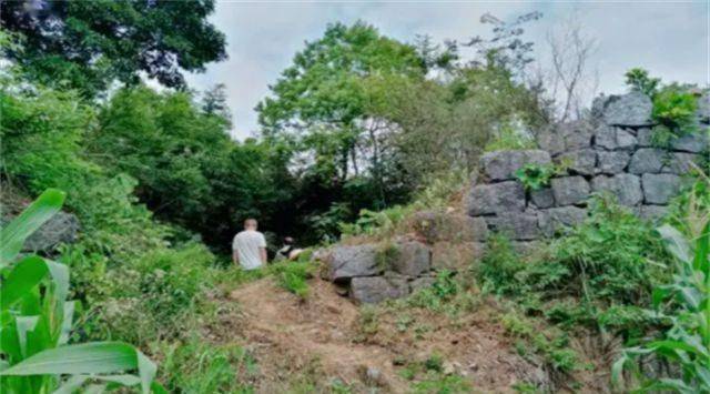 程地明_攻击_坟头