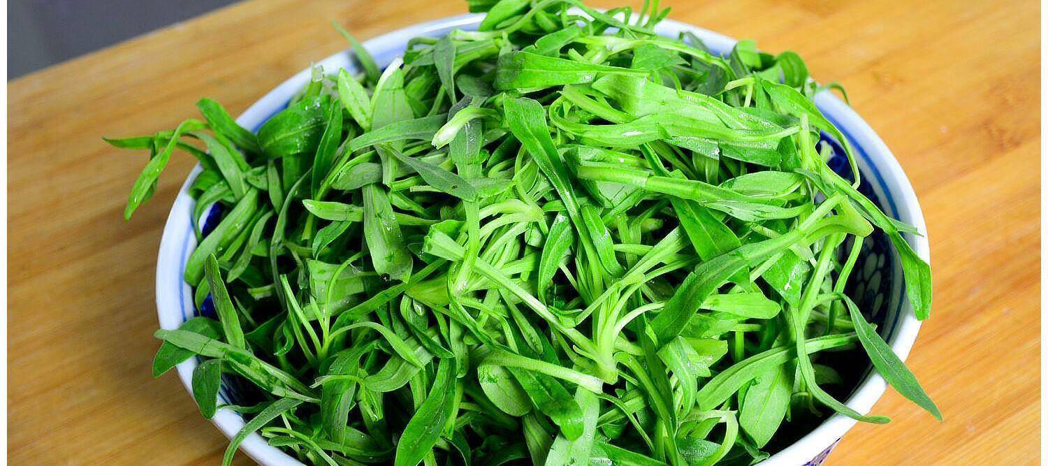 这野菜与小麦共生,俗称"面条菜",大家都知道好吃,却不知价值