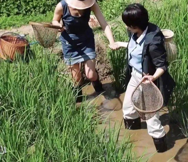 女神們,別再“下凡”參加綜藝了 18 0964009b235d413e9881d0ad6d284881