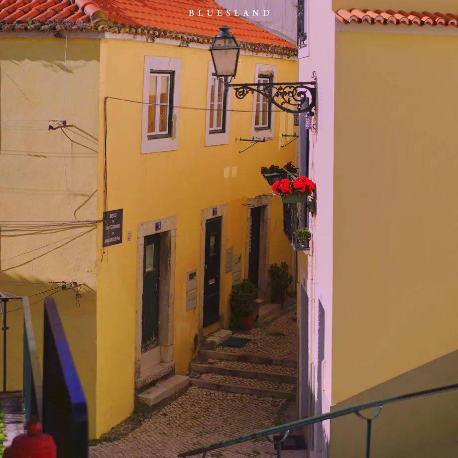 太爱这个宝藏摄影师了!_照片_生活_作品