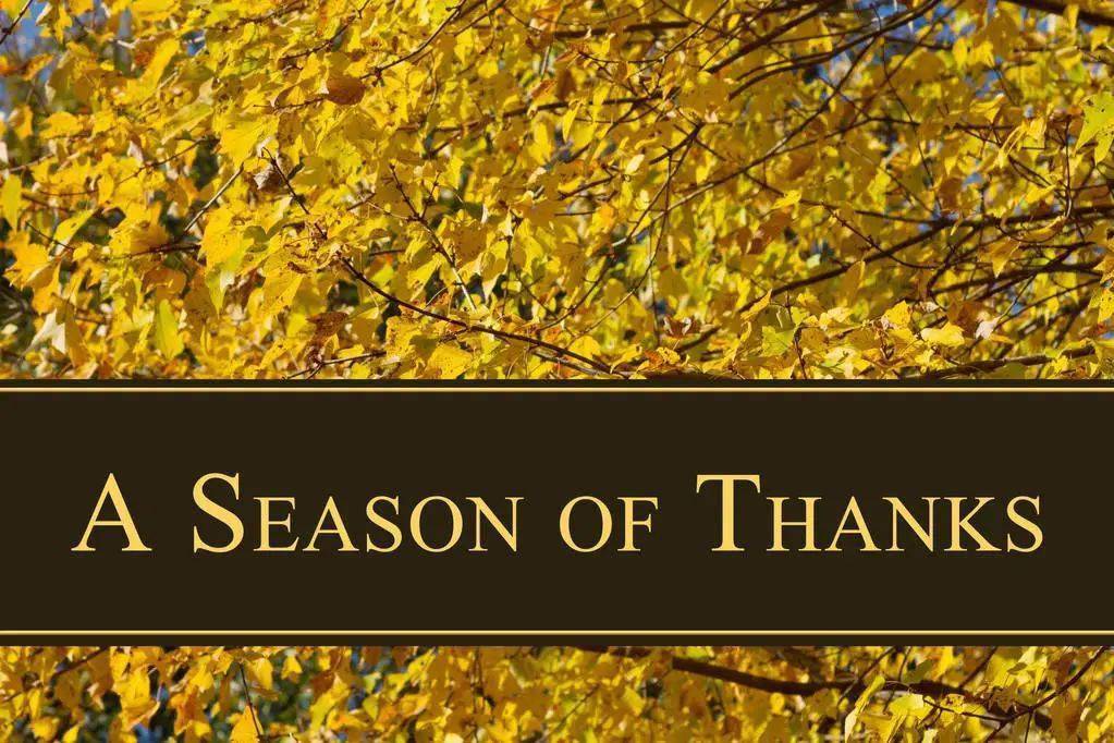 autumn是秋天,year是年,那"autumn years"是什么意思?_in_the_例句