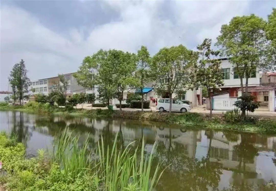 9月12日笔者走进云梦县隔蒲潭镇深港(陈刘)村,一幅环境优美,和谐幸福