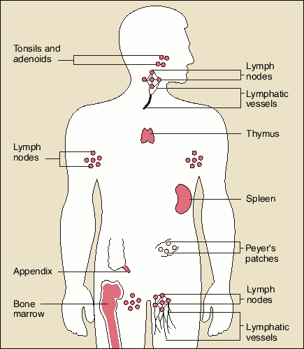 itreg-and
