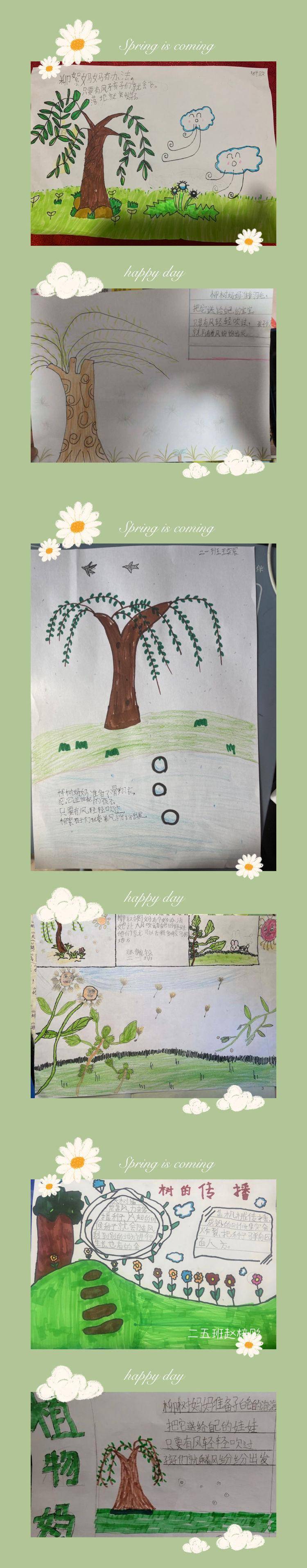 植物传播种子的秘密——郑州市惠济区金洼小学二年级语文实践活动