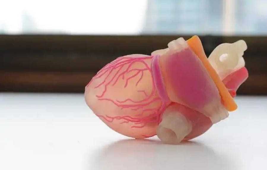 从3D打印到3D器官打印，人类离打印生命还有多远的距离？插图