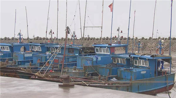 景区关闭、船只进港，奉贤沿海地区备战“梅花”