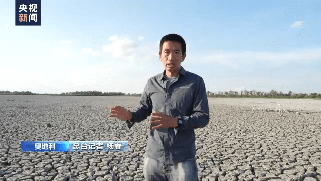 杨春_约翰内斯_齐克