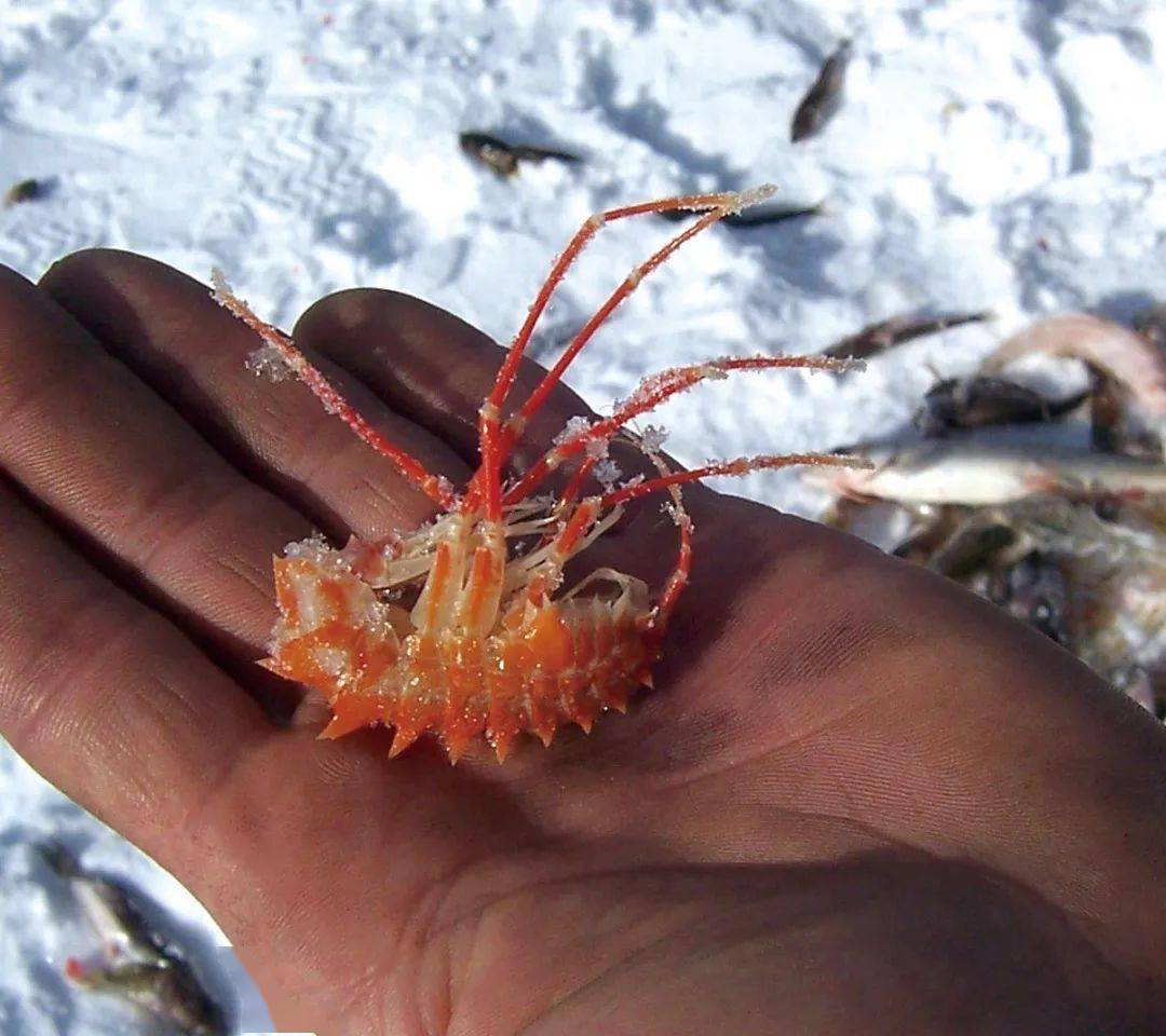 贝加尔湖,除了美到令人窒息,你还知道什么?_蓝冰_裂谷_冰面