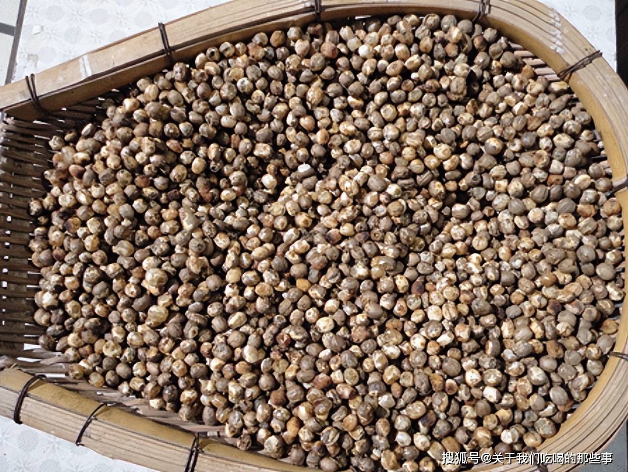 竹米和大米,小麦等禾本科的植物类似,可以称为谷粒