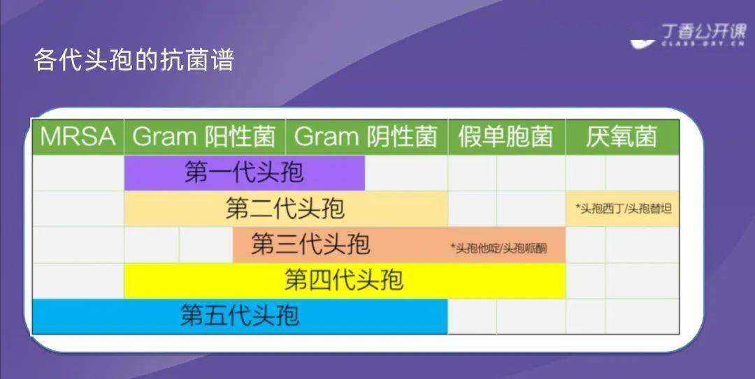 各代头孢区别及常用头孢使用须知总结_用药_视频_课程