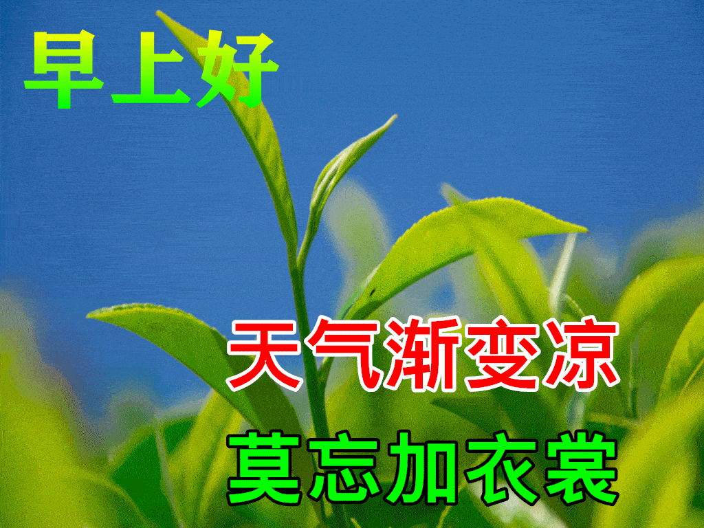 走过千山万水