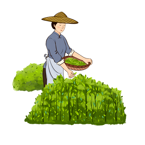 怎样的喝茶方式适合自己?保税区总工会"营养与健康之绿茶"课程即!将!