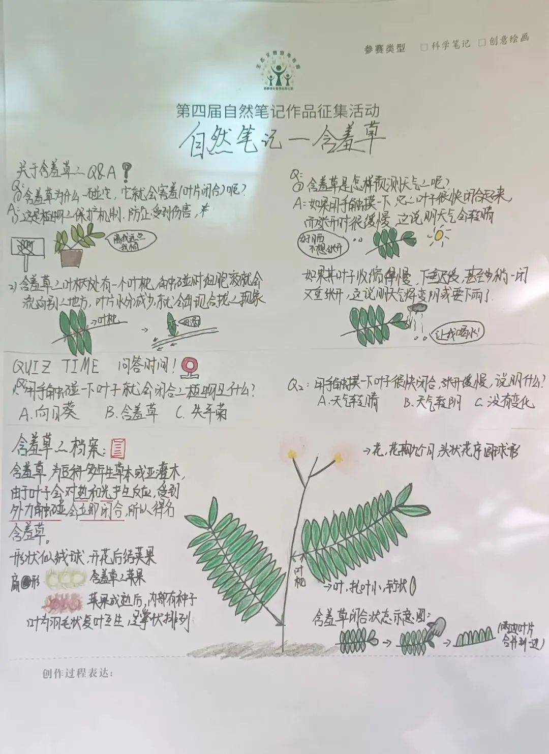 【活动回顾】乐享自然 快乐成长" 含羞草——自然笔记征集 "