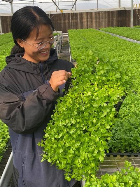 大思政课|在河北肃宁,看"新农人"逐梦乡村振兴_莎莎_种苗_农业