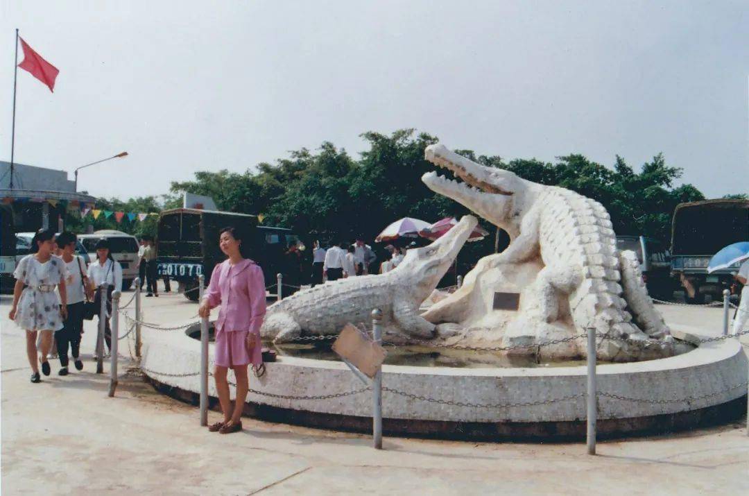 珠海鳄鱼岛事件图片