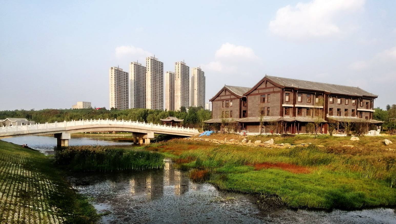 芦花飘香贾鲁河明伦岛_河床_上游_曲星