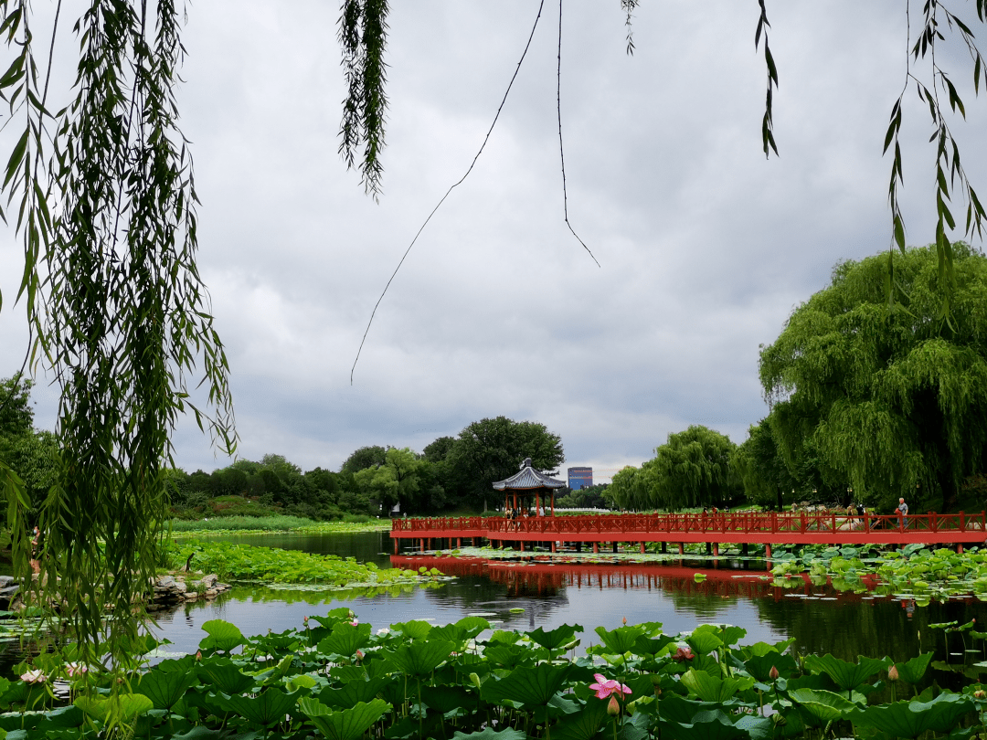 賞山遊園——三山五園詩詞楹聯我知道 (第五十五期)_濂溪_海淀_圓明園