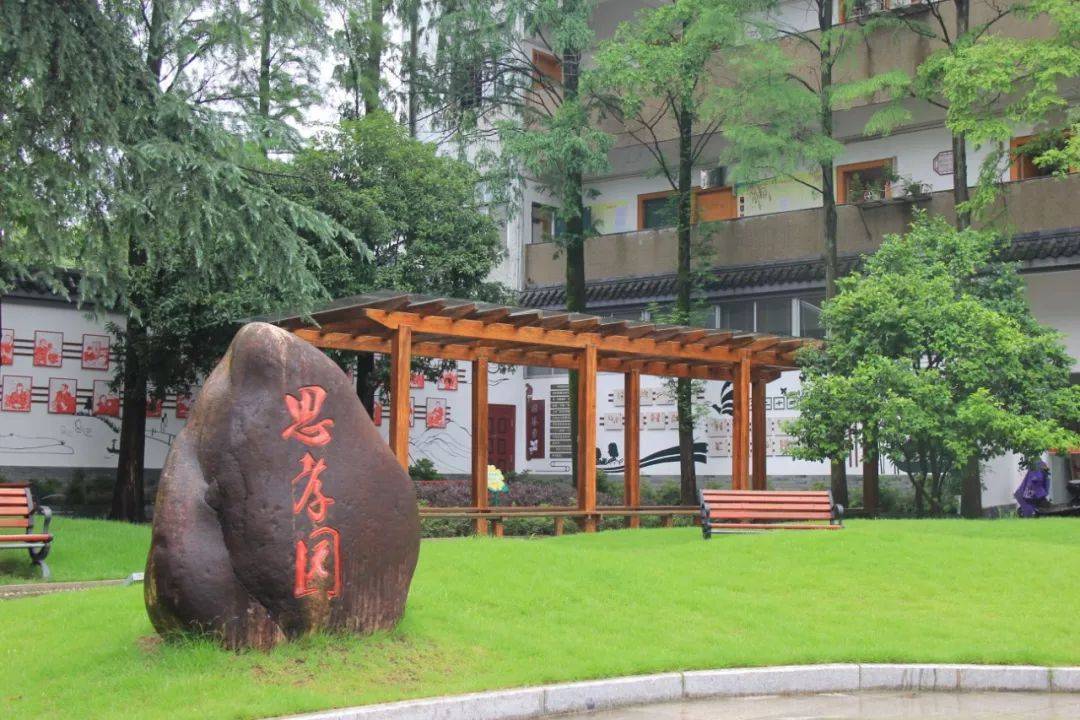 花园中学将成立教育集团!三个学校并入!_丽水_莲都区_行动