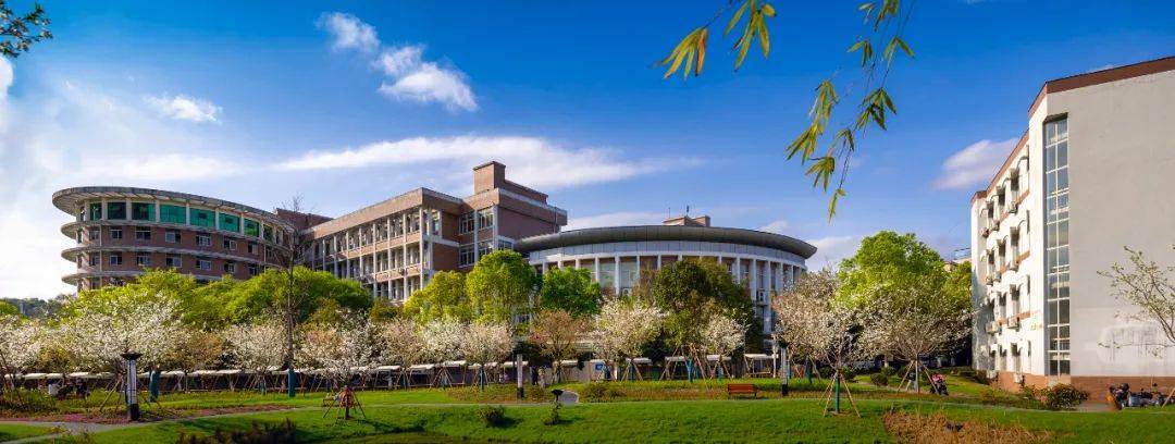 学校教育集团,括苍中学实质并入集团,挂"莲都区花园中学北校区"牌子