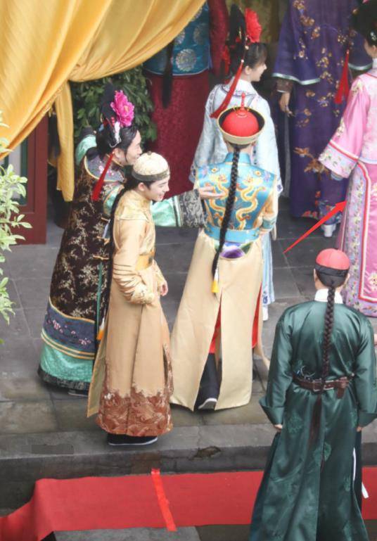 杨紫扮紫薇获赞,曾对这个角色发表过奇怪言论,苏有朋直言她有毒_节目