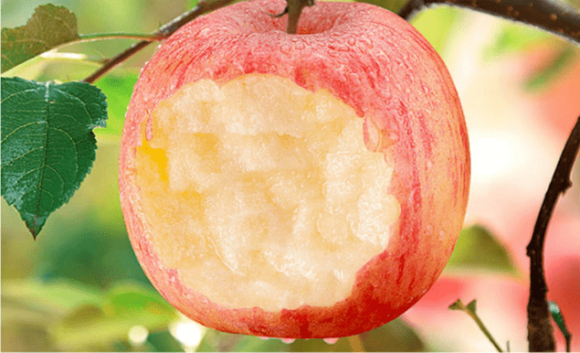 江西优农文化传媒有限公司,正宗陕西洛川红富士苹果,脆甜多汁,香甜