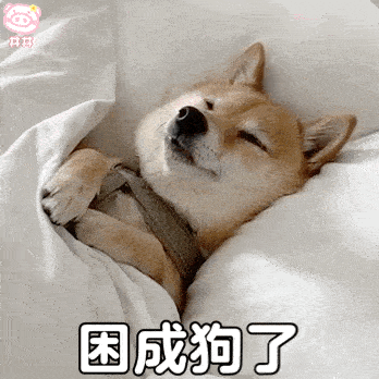 348_348gif 动态图 动图