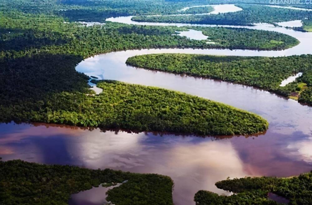 亚马逊河有多可怕？为什么当地人都不敢在亚马逊河中游泳？