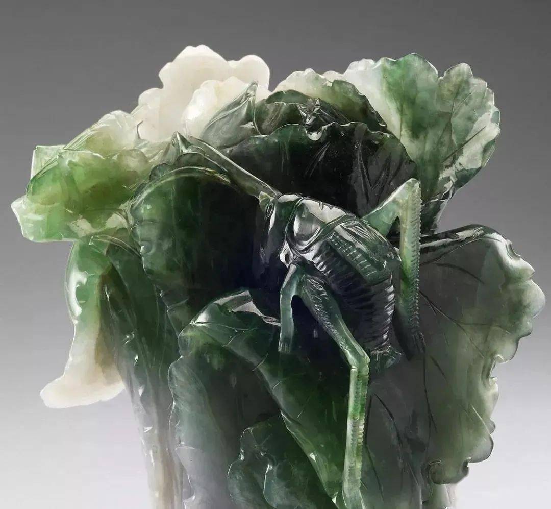 昆虫_寓意_蝴蝶