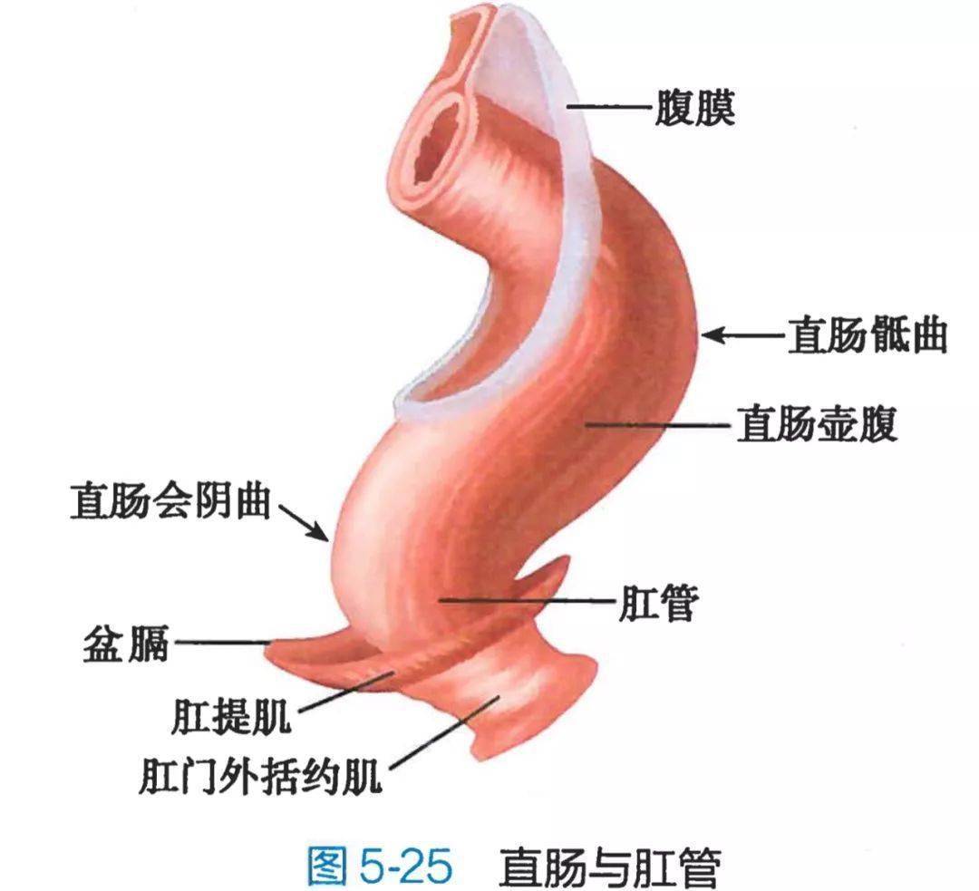 05系解高清图谱
