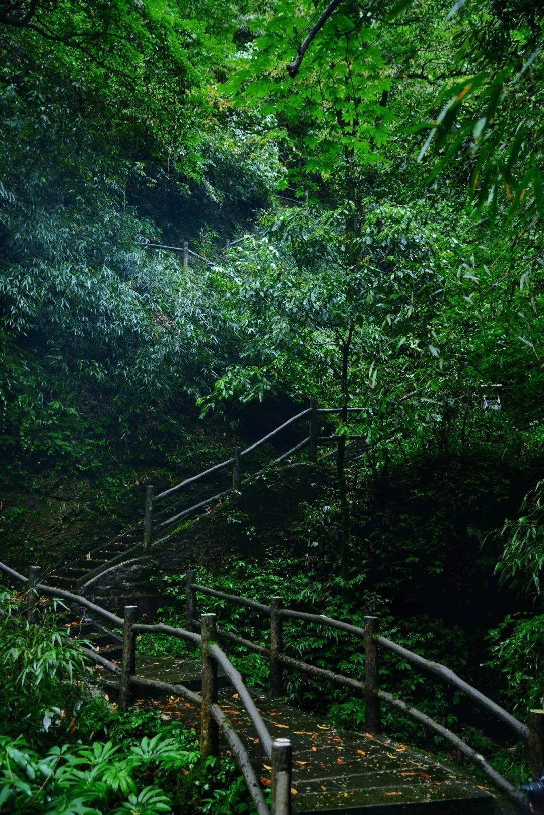 峨眉山九十九道拐值得你一去!