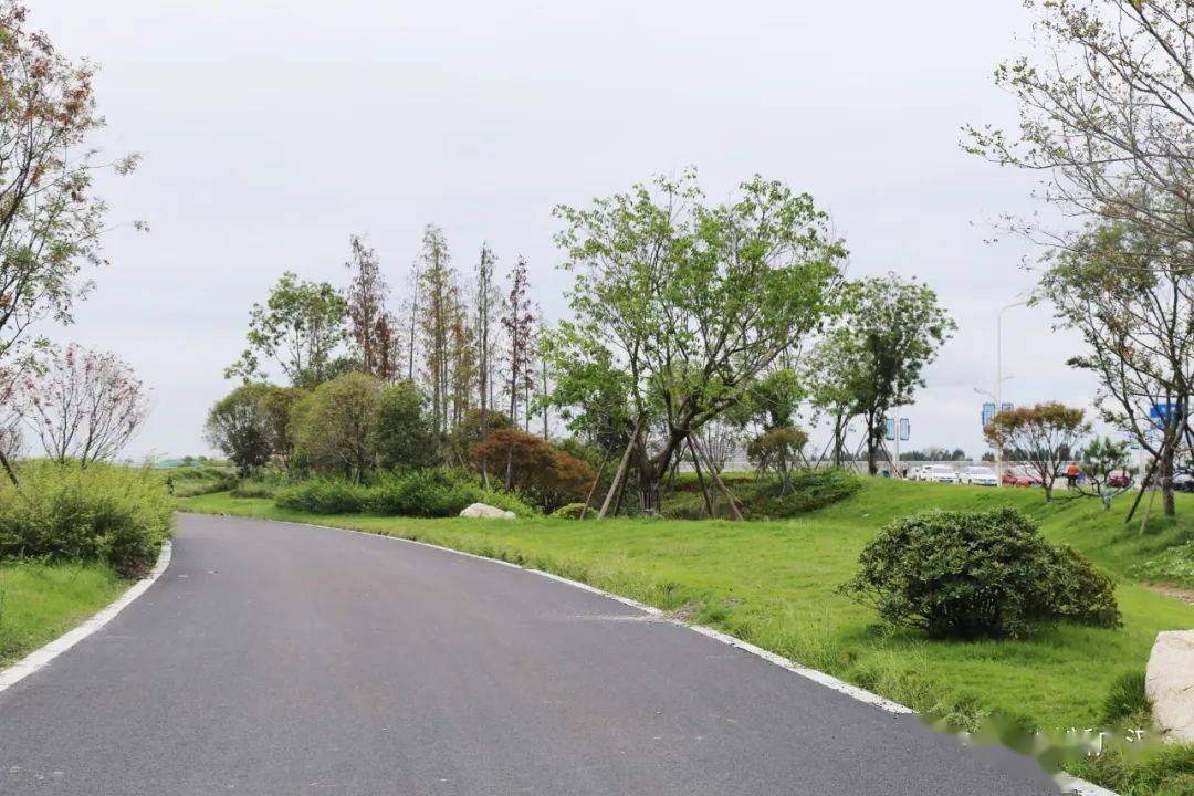 目前三星湖已初露"真容",广汉的小伙伴们有福了,良好生态格局.