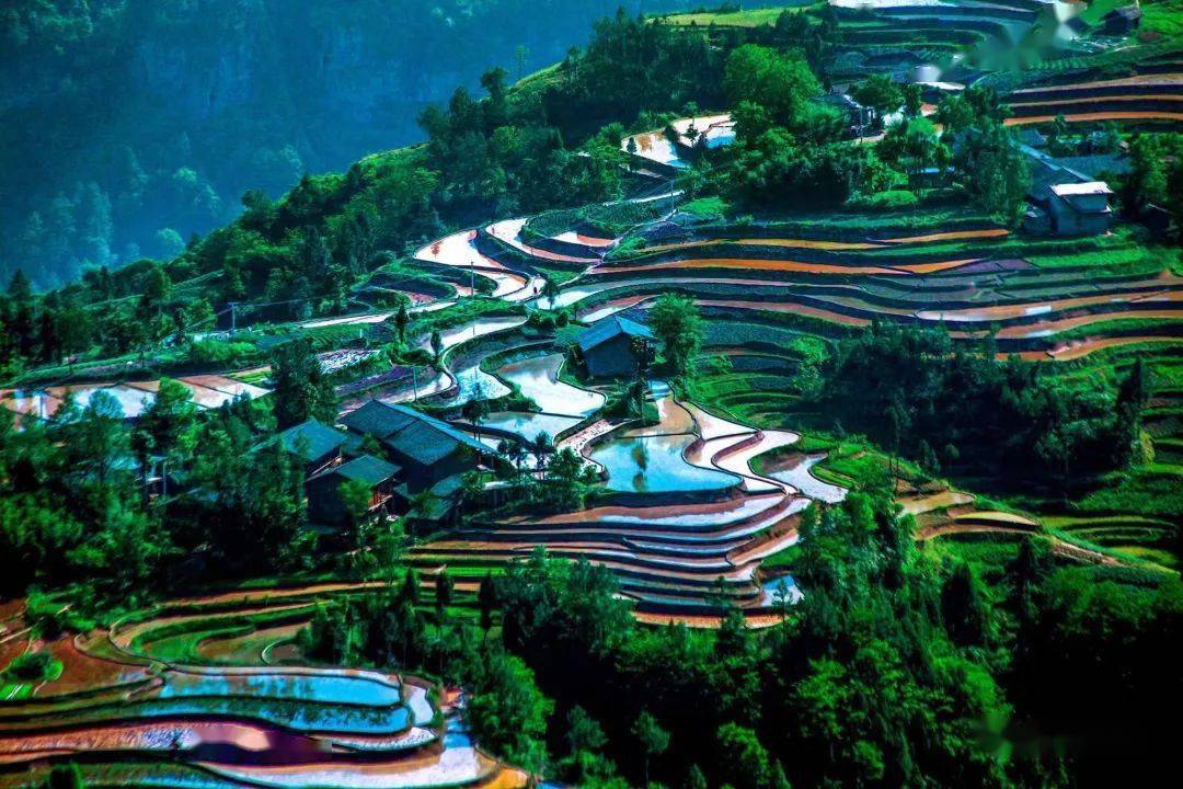 建南旁边这条峡谷美爆了_梯田_云海_半山腰