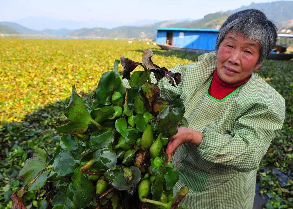 能放生的东西都有什么_世间不能放生的生物有_世上有十种放生