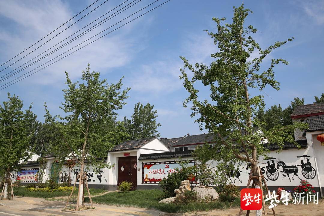 江苏丰县大沙河镇: 三个“代表”描绘农村人居环境新画卷_工作_整治_坑塘