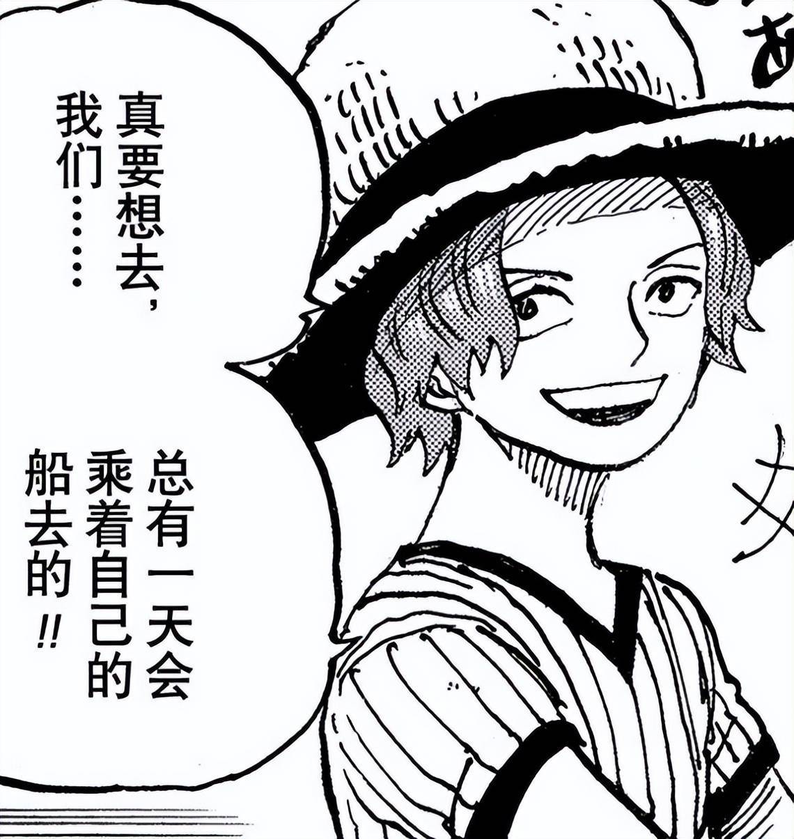 填坑伏笔,跟巴基联手_香克斯_决斗_信息