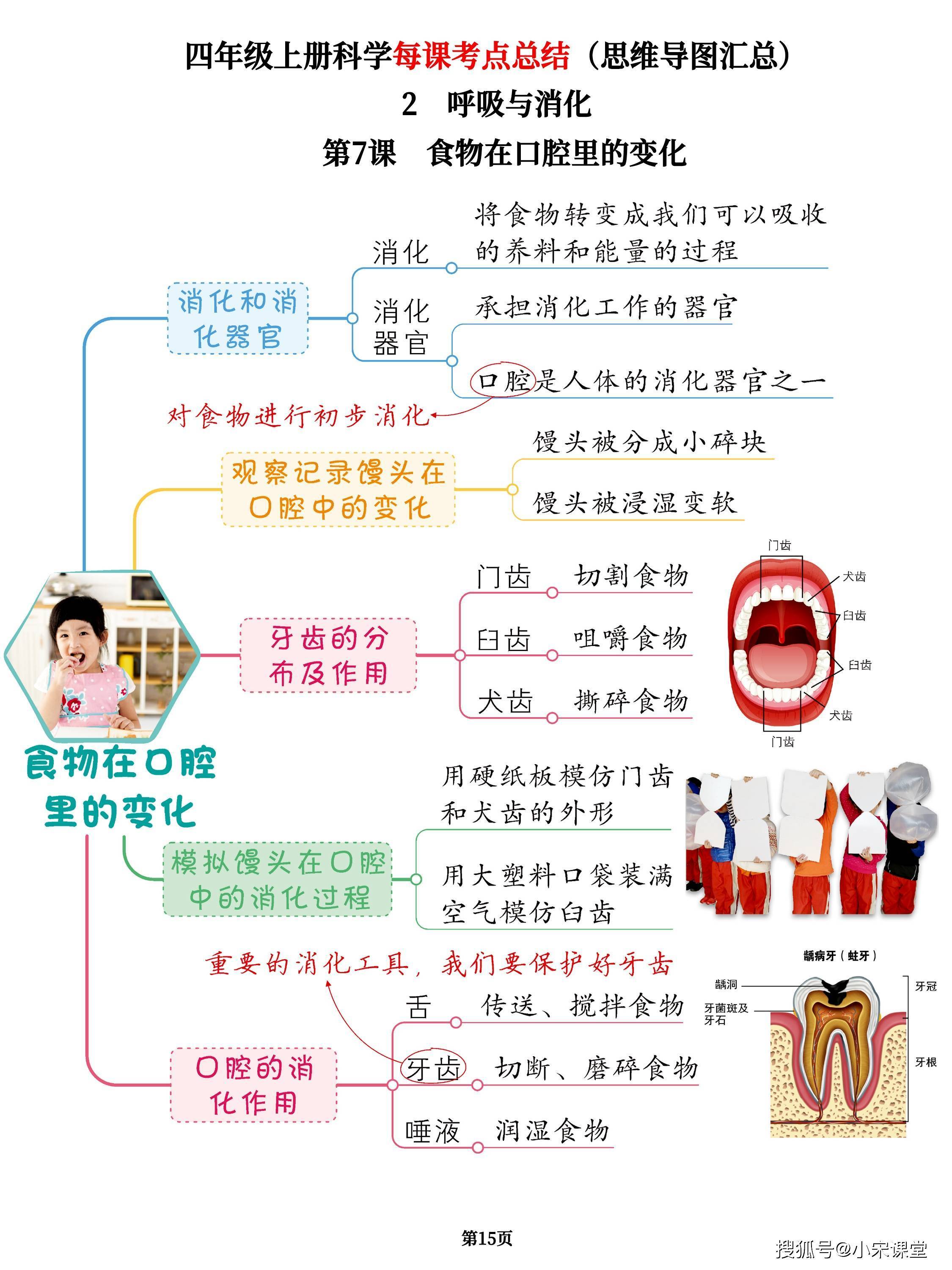 四年级上册科学每课考点总结